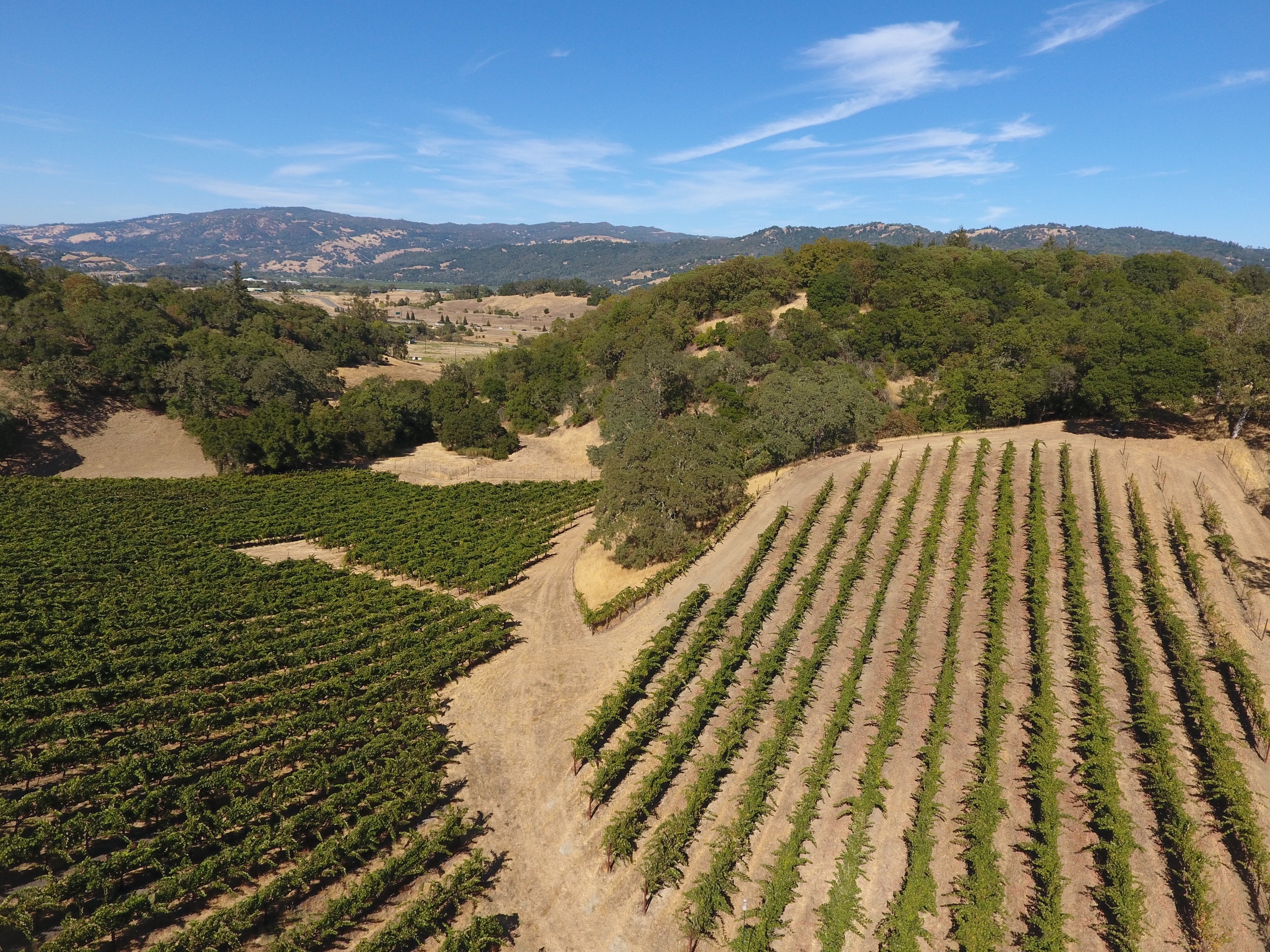 DJI_0007.jpg