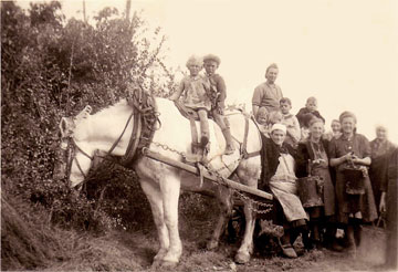 Herve's Family